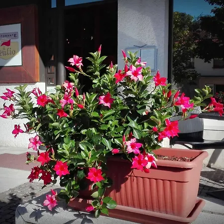 Hotel Casagrande Feltre
